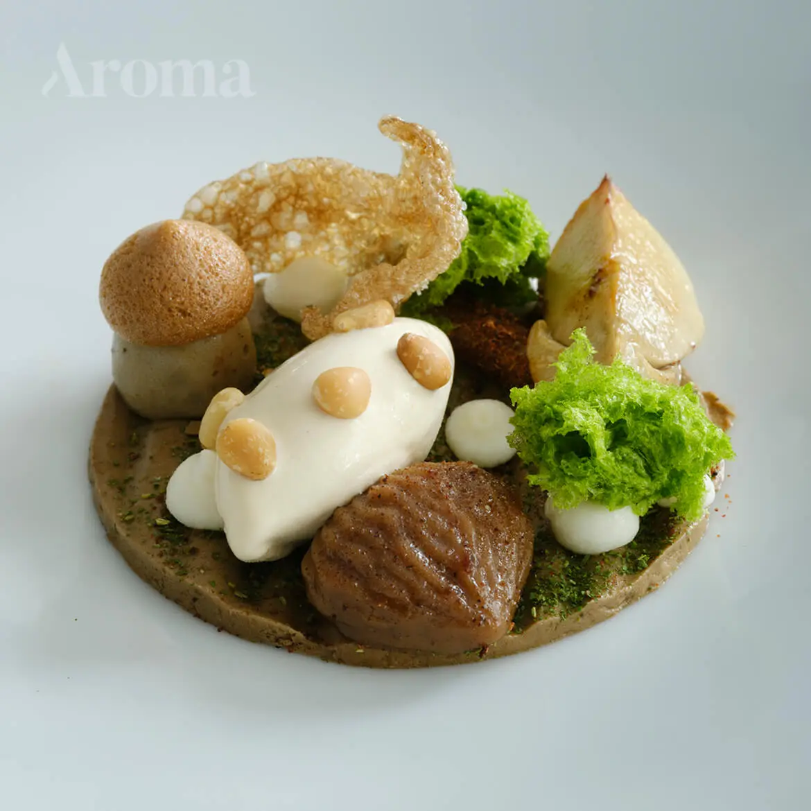 Bosco autunnale | de filosofie van aroma is het combineren van de italiaanse keukenmentaliteit, gebaseerd op lokale seizoensgebonden producten. Daarom gebruikt pasquale de eigen omgeving zoals natuurlijk de veluwe. Op het bord creëert hij zijn eigen bos met seizoensproducten zoals paddenstoelen, verzameld door een lokale professional in samenwerking met verschillende privé-landgoederen die de mogelijkheid bieden om op hun terreinen te plukken, kastanjes uit epe en ten slotte johannesbrood- en pijnboompit om italiaanse flair aan het gerecht te geven en het geheel nóg specialer te maken.